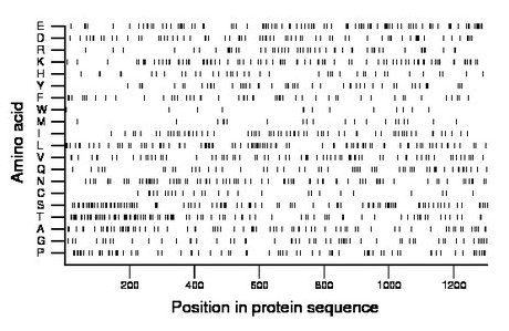 amino acid map