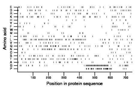 amino acid map