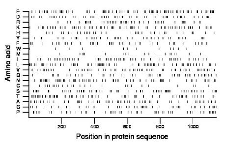 amino acid map