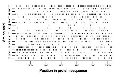 amino acid map