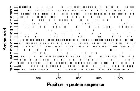 amino acid map