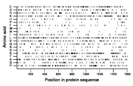 amino acid map