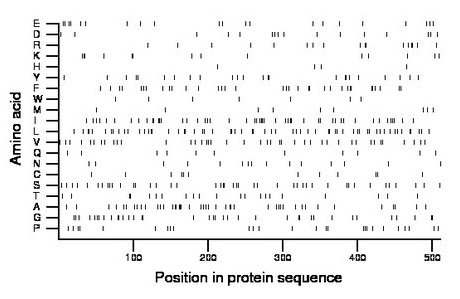 amino acid map