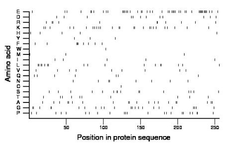 amino acid map