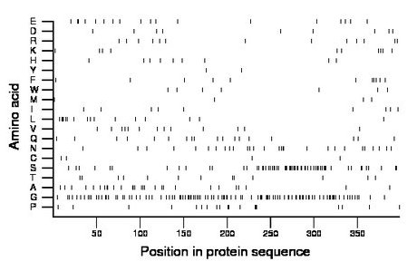 amino acid map