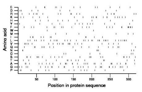 amino acid map