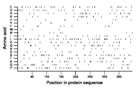 amino acid map